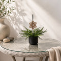 Plant Spike Suncatcher